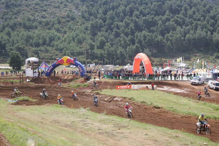 geniki