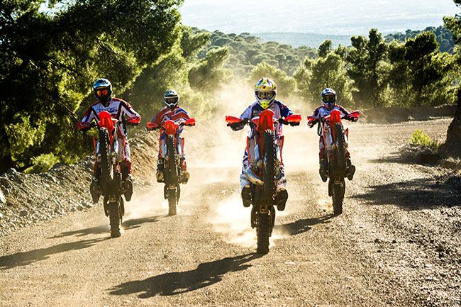 team wheelie